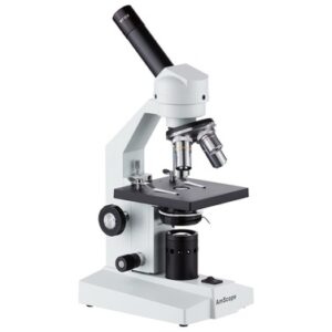 Microscope